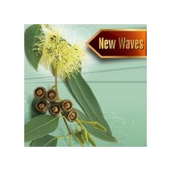 NW Eukaliptusz Pezsgőfürdő illatosító emulzió